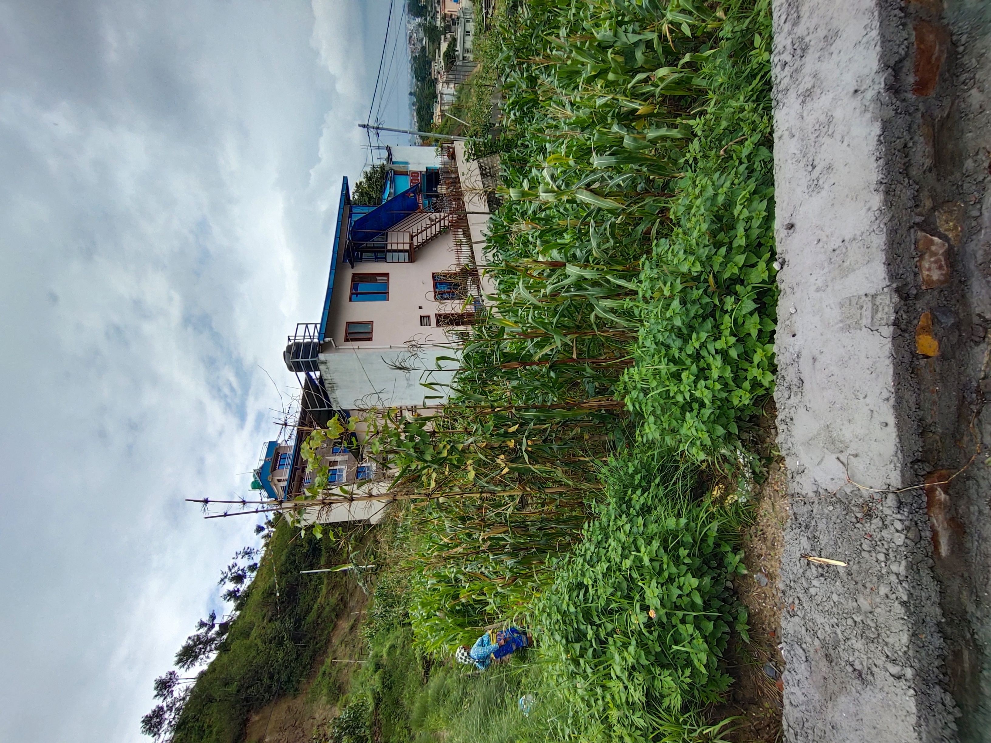 Picture of Budhanilkantha Municipality, Bagmati